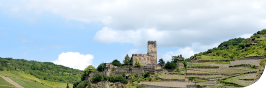 Umgebungsbild Rheinland-Pfalz