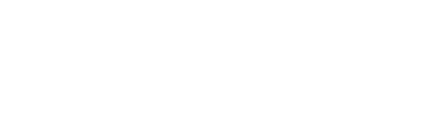 Techem Logo