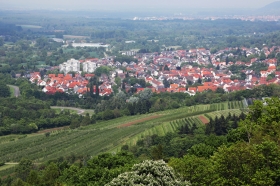 Wohnung Mieten In Wuppertalbarmen Von Privat Wohnung Mieten In Wuppertalbarmen Von Privat