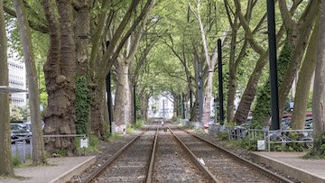 Neighbourhood Duesseltal in Dusseldorf