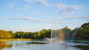 Neighbourhood Strießen in Dresden