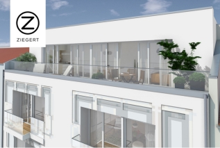 DACHGESCHOSS MIT GROSSER TERRASSE