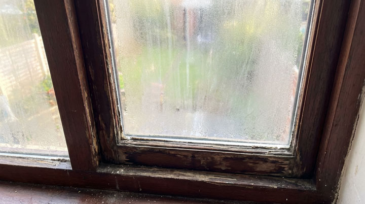 Nahaufnahme eines stark beschädigten Holzfensters mit deutlichen Feuchtigkeits- und Verrottungsschäden. Das dunkle Holz des Fensterrahmens zeigt massive Schäden durch eindringende Feuchtigkeit: Der Rahmen ist stellenweise aufgequollen, verfärbt und zeigt dunkle, schwärzliche Bereiche, die auf Fäulnis oder Schimmelbefall hindeuten. Besonders problematisch sind die sichtbaren Risse und Spalten im Holz, durch die kontinuierlich Wasser eindringen kann. Das Fensterglas ist von innen beschlagen oder zeigt Kondensatspuren, was auf mangelnde Abdichtung und schlechte Isolierung hinweist.