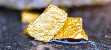 Ist Ihr Grundstück Gold wert?