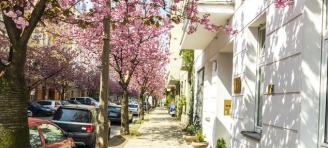 Definiere Türnische! 