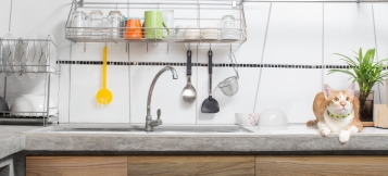 Miete mindern bei geringem Legionellen-Befall? 