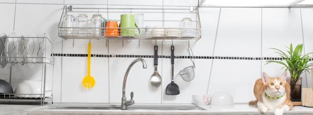 Sanierungsarbeiten bei Wohnungs­besichtigung ankündigen?