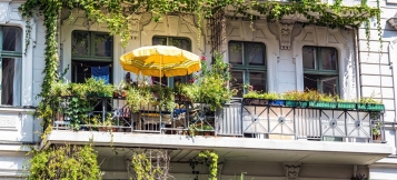 Mietminderung bei Taubenkot? 