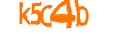 loading captcha image...