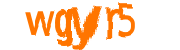 loading captcha image...