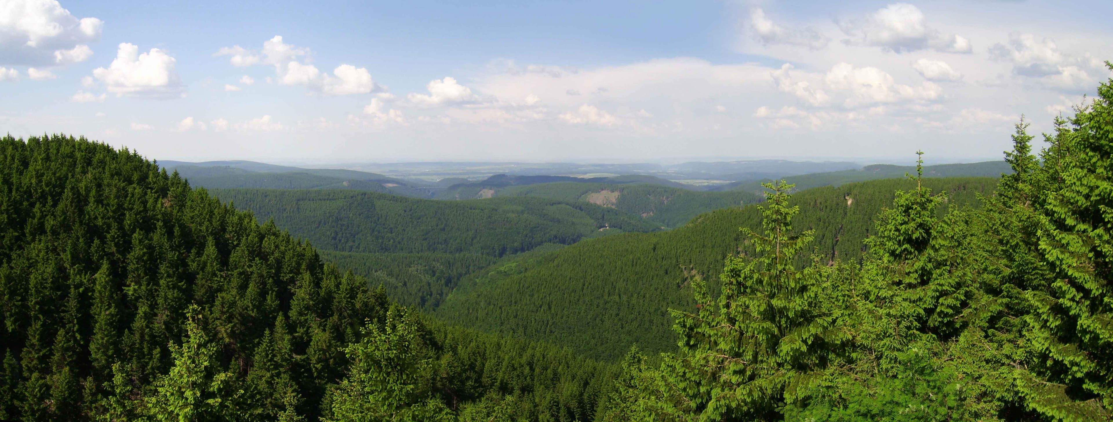 Thüringen: Leben und Wohnen