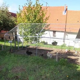 Foto eines Hauses mit Hühnerstall in Rheinland-Pfalz