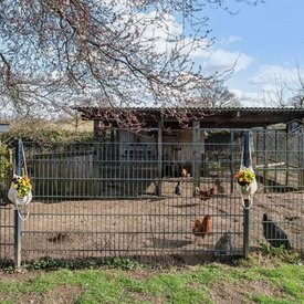 Foto eines Hauses mit Hühnerstall in Schleswig-Holstein