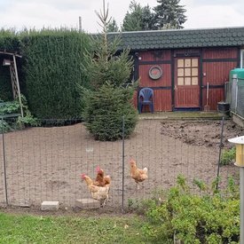 Foto eines Hauses mit Hühnerstall in Nordrhein-Westfalen