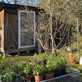 Foto eines Hauses mit Hühnerstall in Bayern