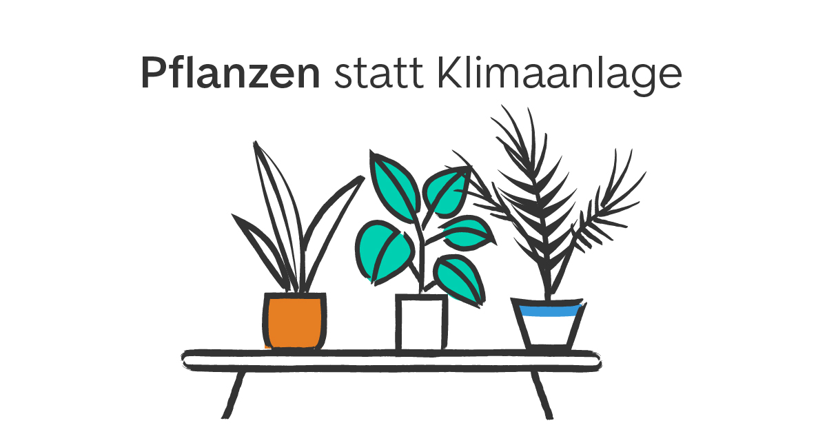Diese Zimmerpflanzen khlen deine Wohnung